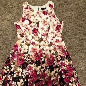 White House Black Market Fit & Flare Dress